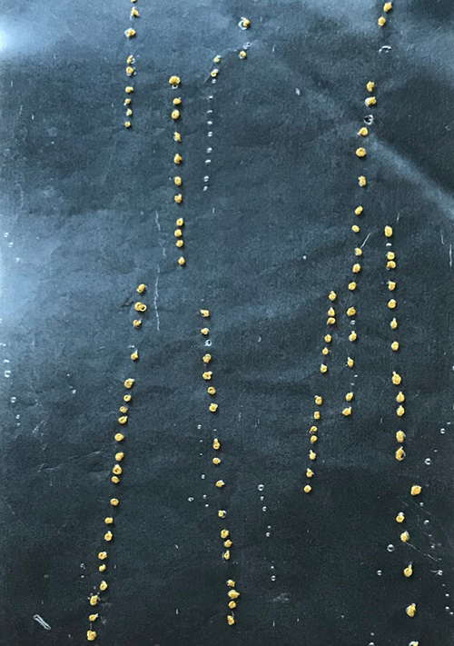 This image for Image Layouts addon