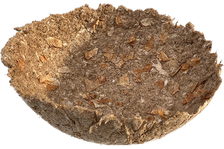 This image for Image Layouts addon