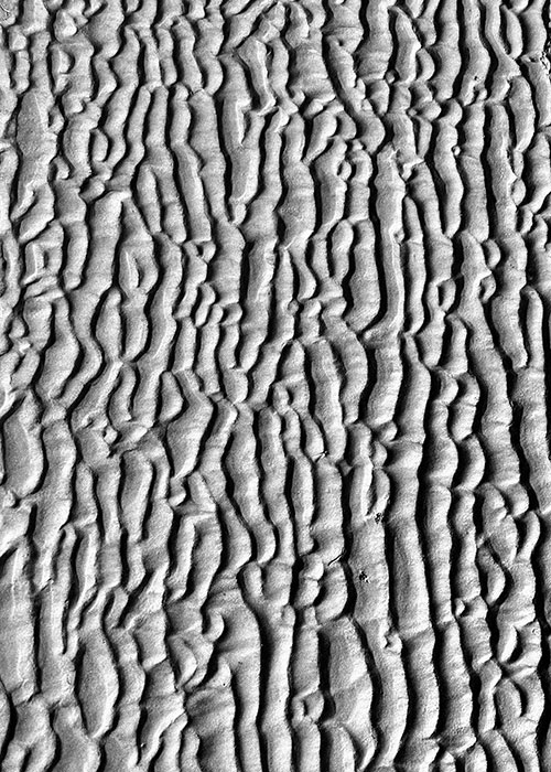 This image for Image Layouts addon