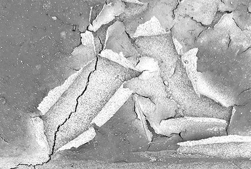 This image for Image Layouts addon